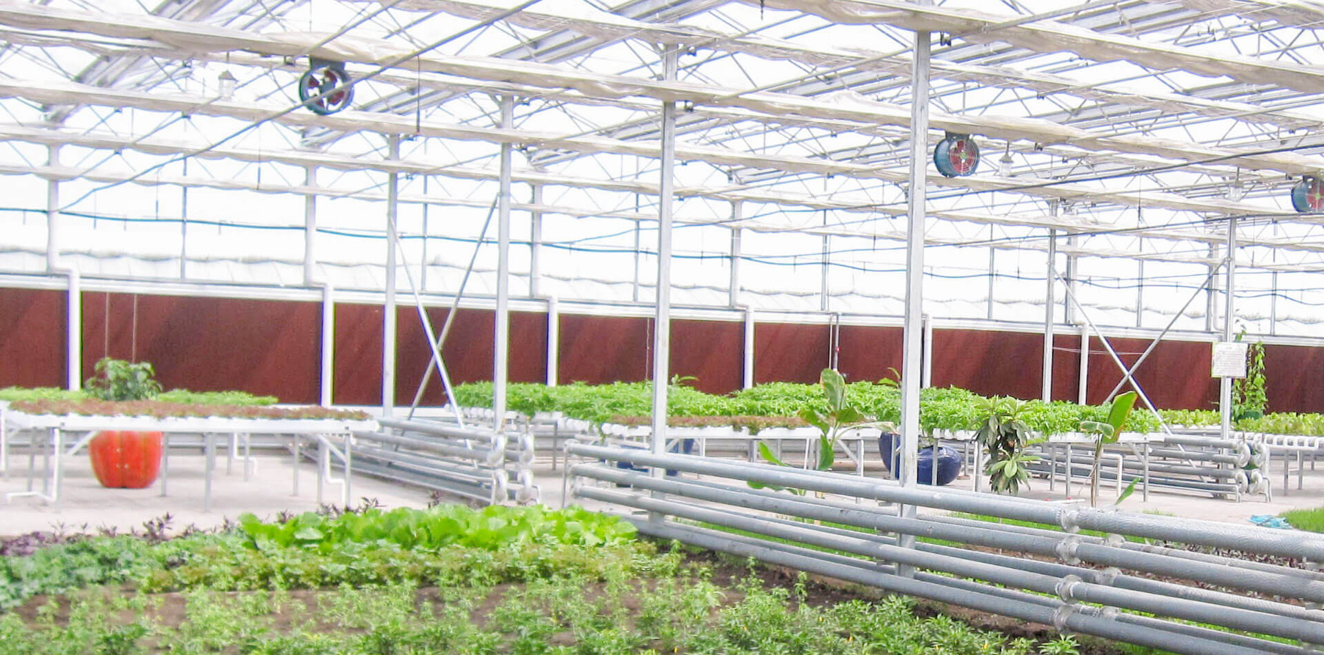 山東延信制冷設(shè)備有限公司